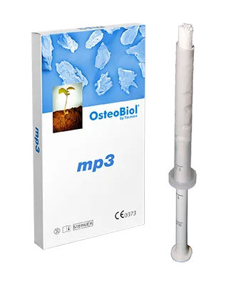 MP3