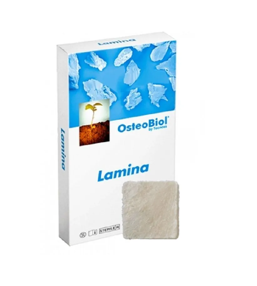 Lamina