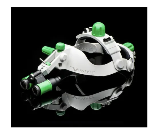 HEADGEAR