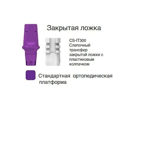 CS-IT300