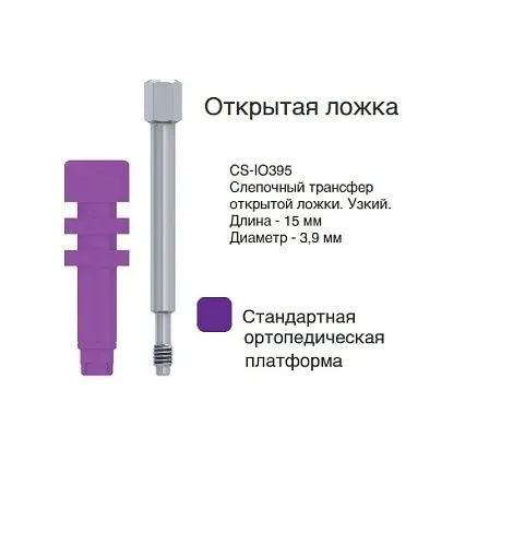 CS-IO395