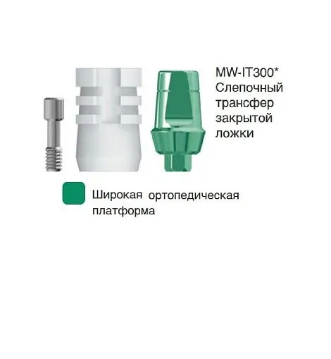 MW-IT300