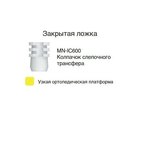 MN-IC600