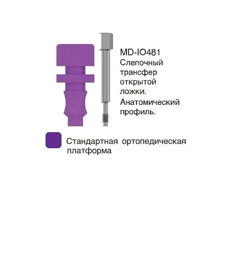 MD-IO481