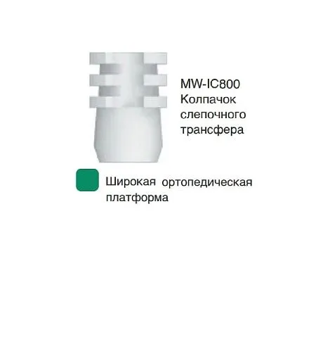 MW-IC800