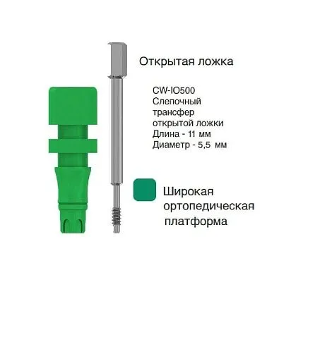 CW-IO500