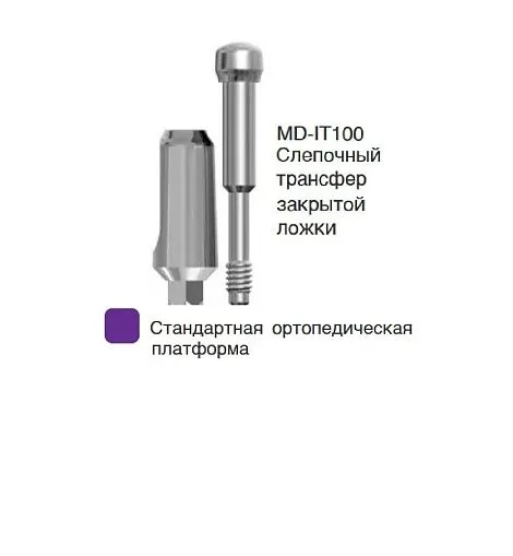 MD-IT100