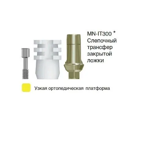 MN-IT300
