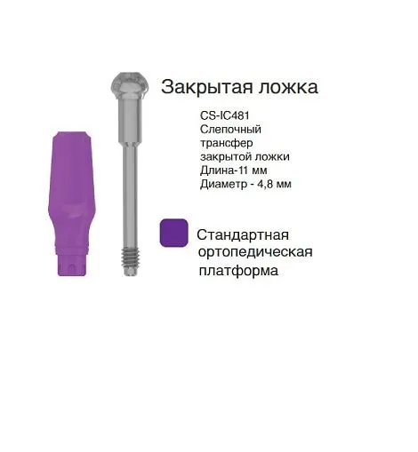 CS-IC481