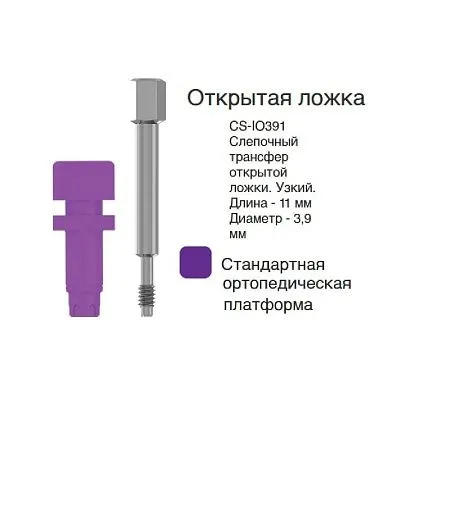 CS-IO391