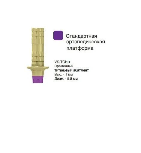 VS-TCI13