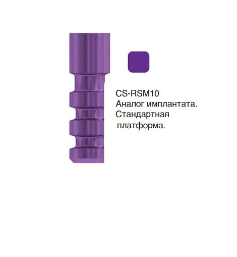 CS-RSM10