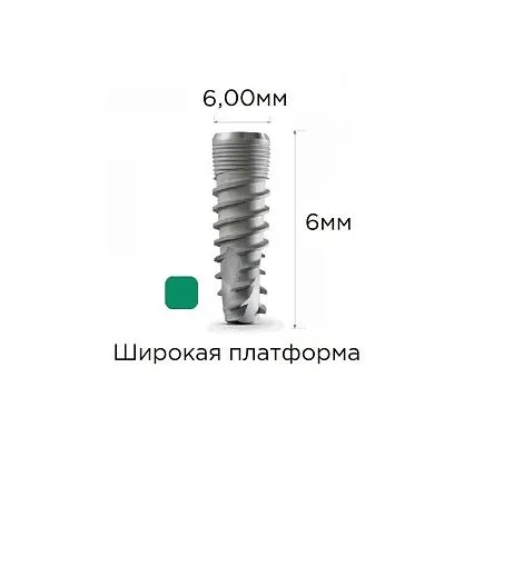 MF7-06600