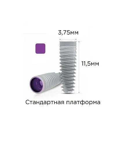 C1-11375