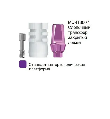 MD-IT300