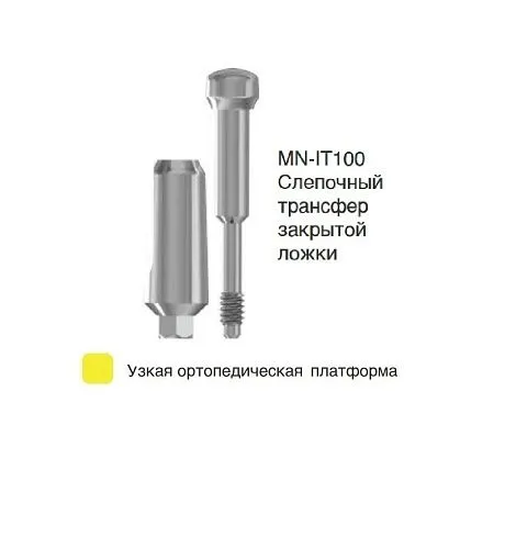 MN-IT100