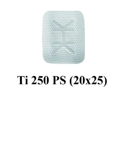 PS 20x25