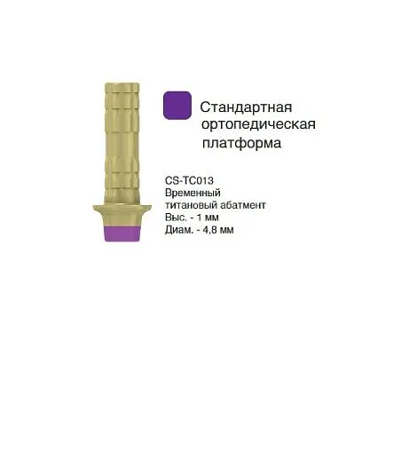 CS-TC013