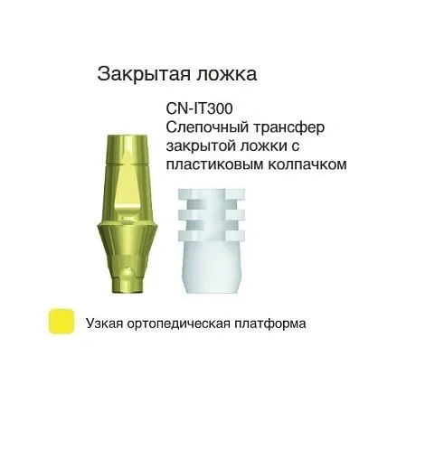 CN-IT300