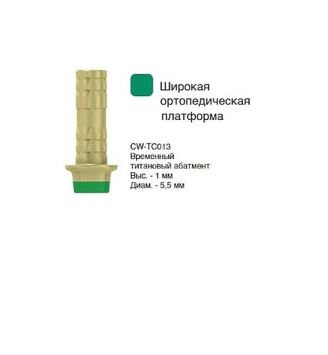 CW-TC013