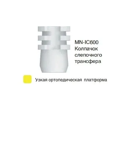 MN-IC600