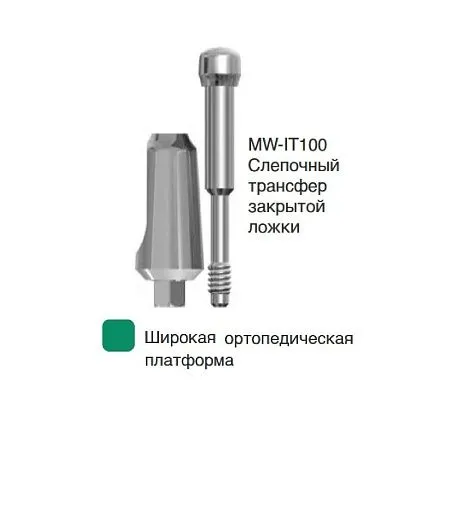 MW-IT100