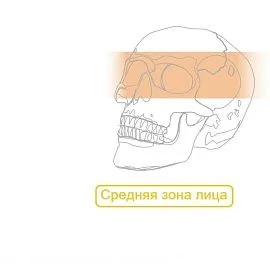 Средняя зона Пластины Микро