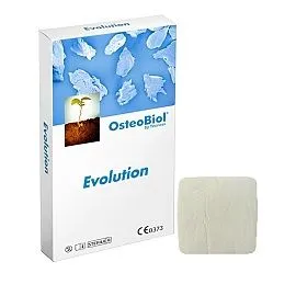 Evolution