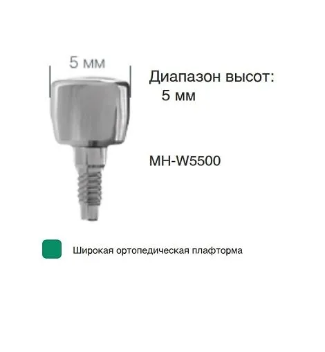 MH-W5500