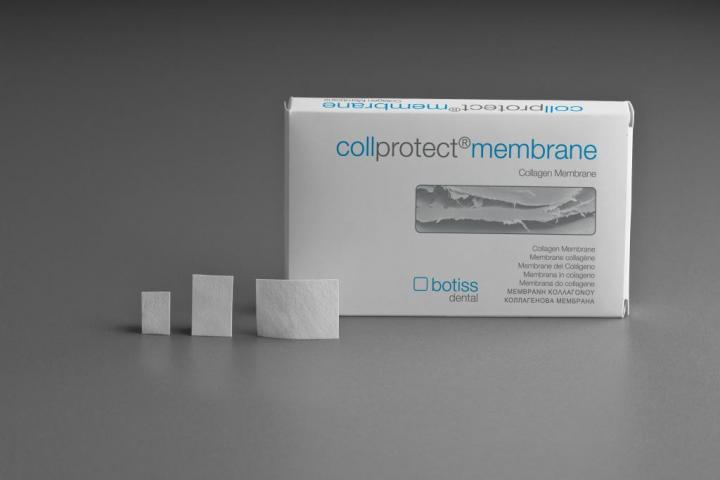 Collprotect Membrane
